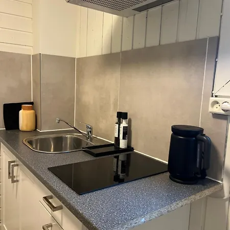 Gamle - Enebakkveien Apartment *